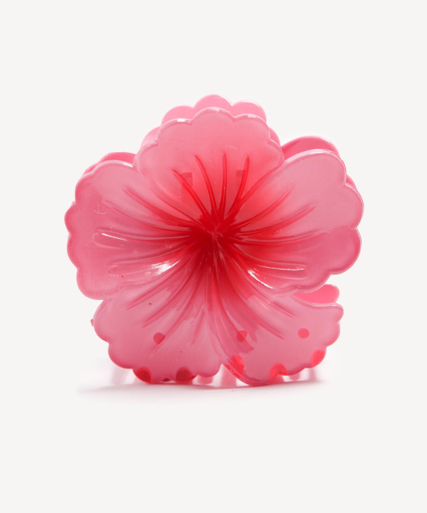 Accesorios para el cabello