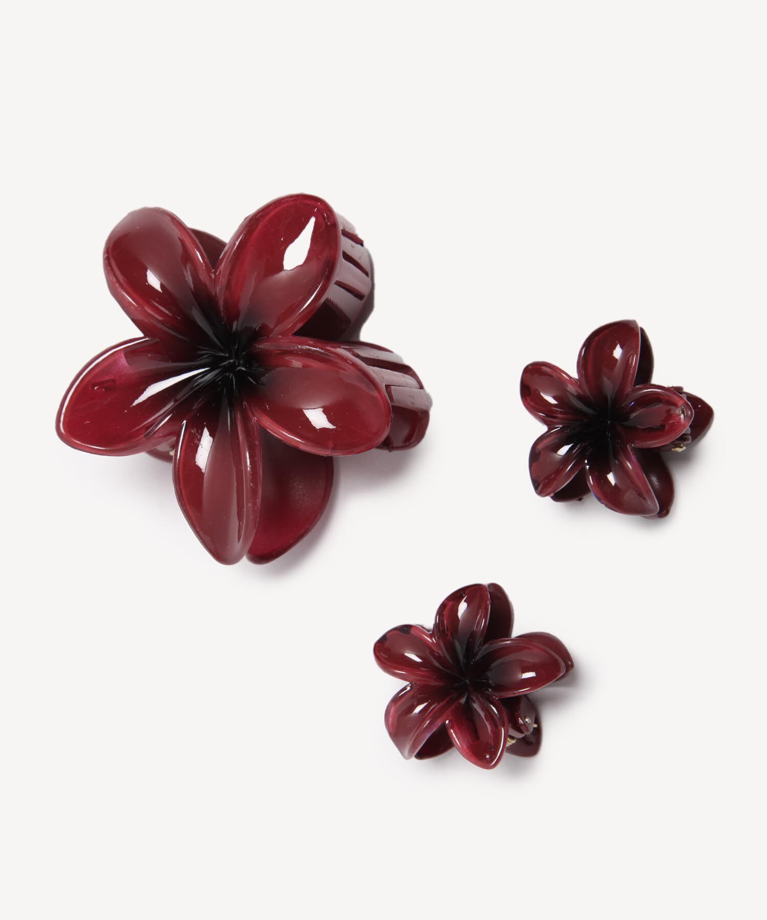 Accesorios para el cabello